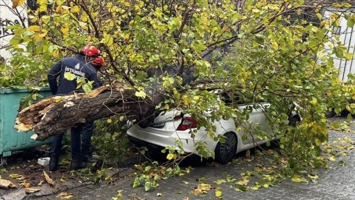 Beyoğlu'nda park halindeki aracın üzerine ağaç devrildi
