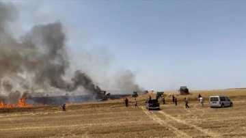 Beypazarı'nda buğday tarlasında hasat sırasında yangın çıktı