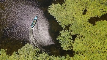 Beyşehir Gölü'nde balıkçı tekneleriyle gezilen nilüferler için tekne turları düzenleniyor