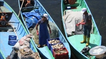 Beyşehir Gölü'nde yeni balık avı sezonu umutlu başladı