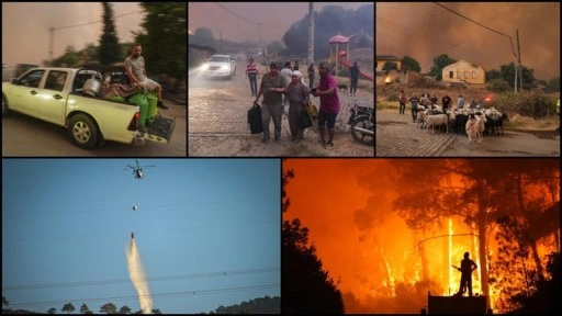 Bilecik, İzmir ve Hatay'da orman yangınlarından etkilenenlere yaklaşık 12,3 milyon liralık dest