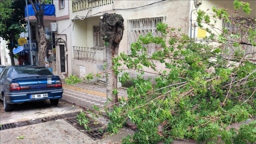 Bilecik'te sağanak ve fırtına etkili oldu