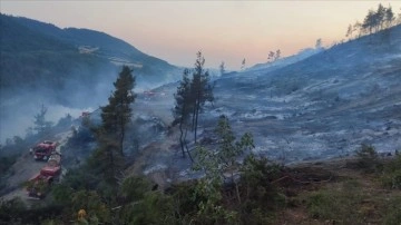 Bilecik'te çıkan orman yangını kontrol altına alındı