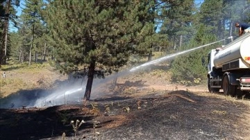 Bilecik'te çıkan orman yangını söndürüldü