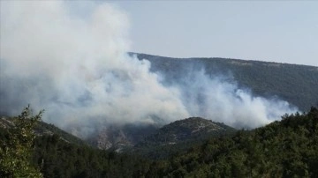 Bilecik'te çıkan orman yangınına havadan müdahale ediliyor