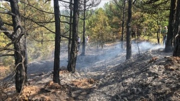 Bilecik'te orman yangını çıktı