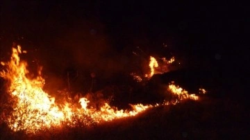 Bilecik'te ormanlık alanda çıkan yangın söndürüldü