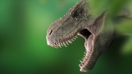 Bilim insanları, Avustralya&#039;nın en büyük dinozor türünü keşfetti