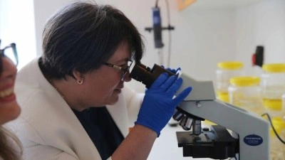 Bilim insanları denizanası ve anemon t&uuml;r&uuml; zehirlerini kolon kanseri h&uuml;crelerinde test etti