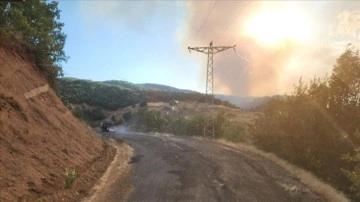 Bing&ouml;l'de &ccedil;ıkan orman yangınına m&uuml;dahale ediliyor