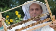 Bitkilerin tozlaşması için aldığı arılar ailesine gelir kapısı oldu