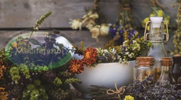 Bitkisel Fason &Uuml;retimde Mecit Efendi Kalitesi