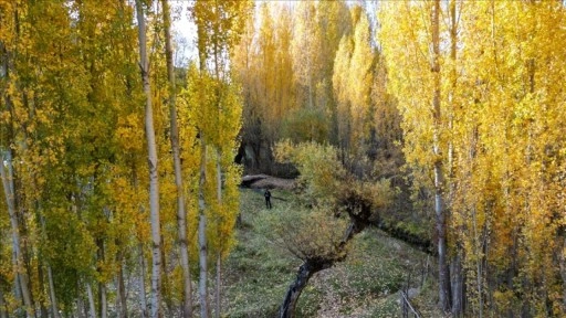Bitlis'in doğal güzellikleri sonbahar renklerine büründü
