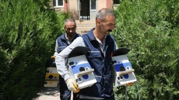 Bitlis'te atıl elektrik panoları, kuş yuvasına dönüştürülüyor