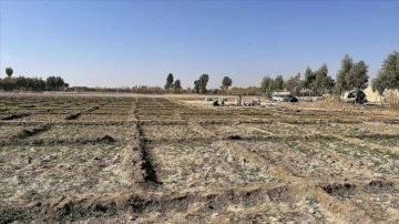 BM: Afganistan'da Taliban yönetiminin afyon yasağı, üretimi yüzde 95 düşürdü