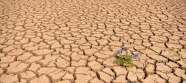 BM Çevre Programı: Dünya bu yüzyılda 3 dereceden fazla ısınmaya doğru gidiyor