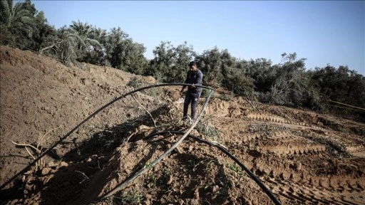 BM: İsrail saldırıları sonucu Gazze'de tarım altyapısının yüzde 89'u hasar gördü