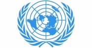 BM komiserinden Halep’e ’mezbaha’ nitelemesi