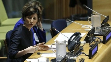 BM Raportörü Filistinlilere saldırılardan ötürü İsrailli yerleşimcilerden hesap sorulmasını istedi