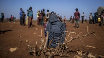 BM, Somali'de gıda sorununa karşı hayvancılığa destek programı başlattı