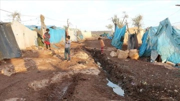 BM: Suriye'deki kolera salgınının yayılma riski var
