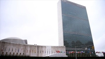 BM'deki Arap Grubu, Güvenlik Konseyini görevini yerine getirmemekle suçladı