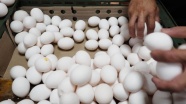 Böcek ilaçlı yumurta skandalı bir Avrupa ülkesine daha sıçradı