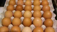 Böcek ilaçlı yumurtalara Güney Kore'de de rastlandı