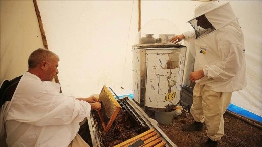Bodrum'da baba oğul ata mesleği arıcılığı ürün çeşitlendirmesiyle sürdürüyor