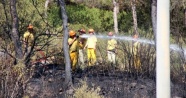 Bodrum’da çıkan orman yangını kısa sürede söndürüldü