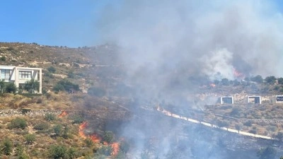 Bodrum'da makilik alanda &ccedil;ıkan yangına m&uuml;dahale ediliyor