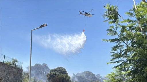 Bodrum'da tarım arazisi ve otluk alanda çıkan yangın söndürüldü