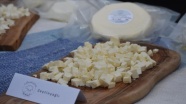 Bodrum&#039;da Uluslararası Peynir Festivali başladı