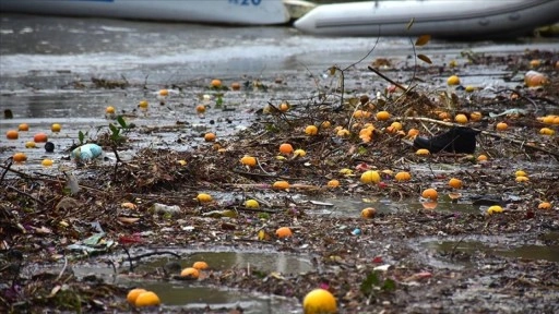 Bodrum'da yağmur suyuyla denize sürüklenen atıklar kıyıya vurdu