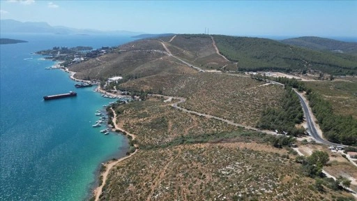 Bodrum Güvercinlik'te 4 yıl önce yanan alanlar dikilen fidanlarla yeşeriyor