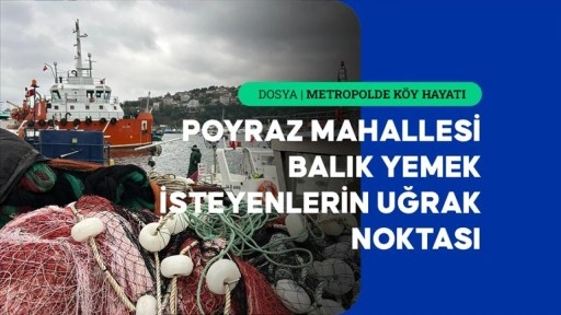 Boğaz'a nazır Poyraz Mahallesi sakinleri ekmeğini denizden çıkarıyor