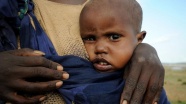 Boko Haram terörü nedeniyle 515 bin çocuk yetersiz besleniyor