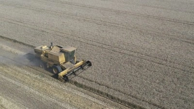 Bolu'da agroekolojik uygulamalarla buğday &uuml;retimi iki katına &ccedil;ıktı