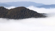 Bolu Dağı'nda sis güzel görüntüler oluşturdu