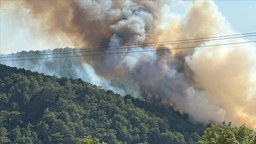 Bolu'nun Göynük ilçesinde çıkan orman yangınına müdahale ediliyor