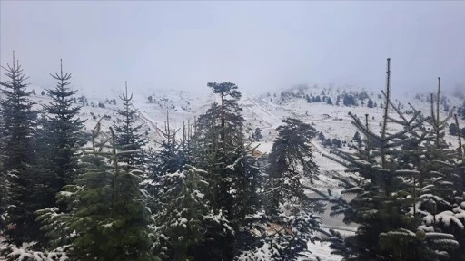 Bolu'nun yüksek kesimlerine kar yağdı
