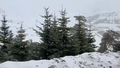 Bolu ve D&uuml;zce'nin y&uuml;ksek kesimlerine mayısta kar yağdı
