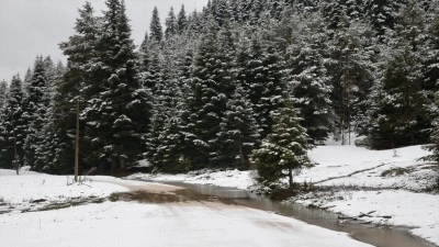 Bolu ve Karab&uuml;k'&uuml;n y&uuml;ksek kesimlerine ilkbaharın ortasında kar yağdı