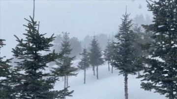 Bolu'nun yüksek kesimlerine kar yağdı