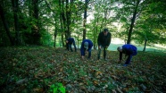 Bosna Hersek'te kestane toplama mevsimi renkli görüntülere sahne oluyor