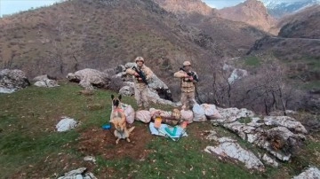 'Bozdoğan-23' operasyonlarında 32 mağara, sığınak ve barınma alanı imha edildi