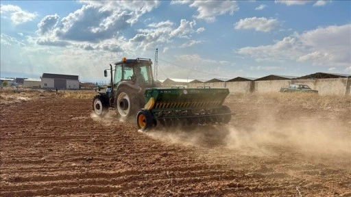 Bozkırda kuraklığa dayanıklı 25 &ccedil;eşit yerli &uuml;r&uuml;n&uuml;n demonstrasyon ekimi yapıldı