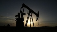 Brent petrolün varili 31,95 dolar
