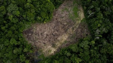 Brezilya'da Amazon yağmur ormanlarındaki ormansızlaşma ağustosta üçte iki oranında azaldı