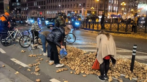 Br&uuml;ksel'de &ccedil;ift&ccedil;ilerin protesto i&ccedil;in yollara d&ouml;kt&uuml;ğ&uuml; patatesleri bazı vatandaşlar topladı